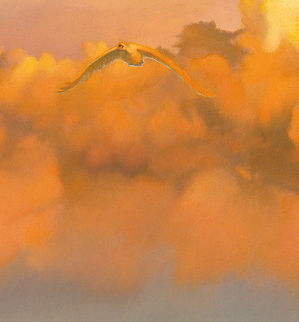 swan in front of red cloud