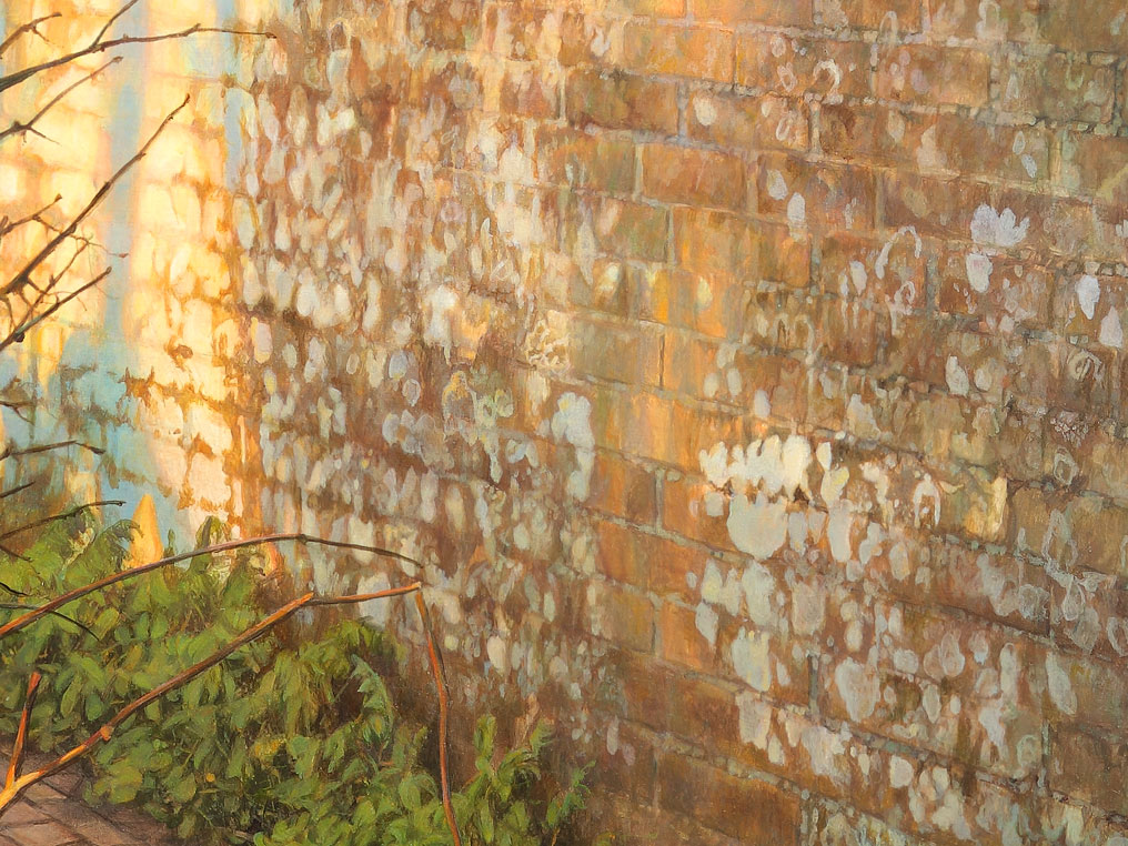 Paul Christiaan Bos: detail Muur van Jelsum - muurtje met korstmos,  4 x enlarged, detail Old Brick Wall of Jelsum, wall with lichen