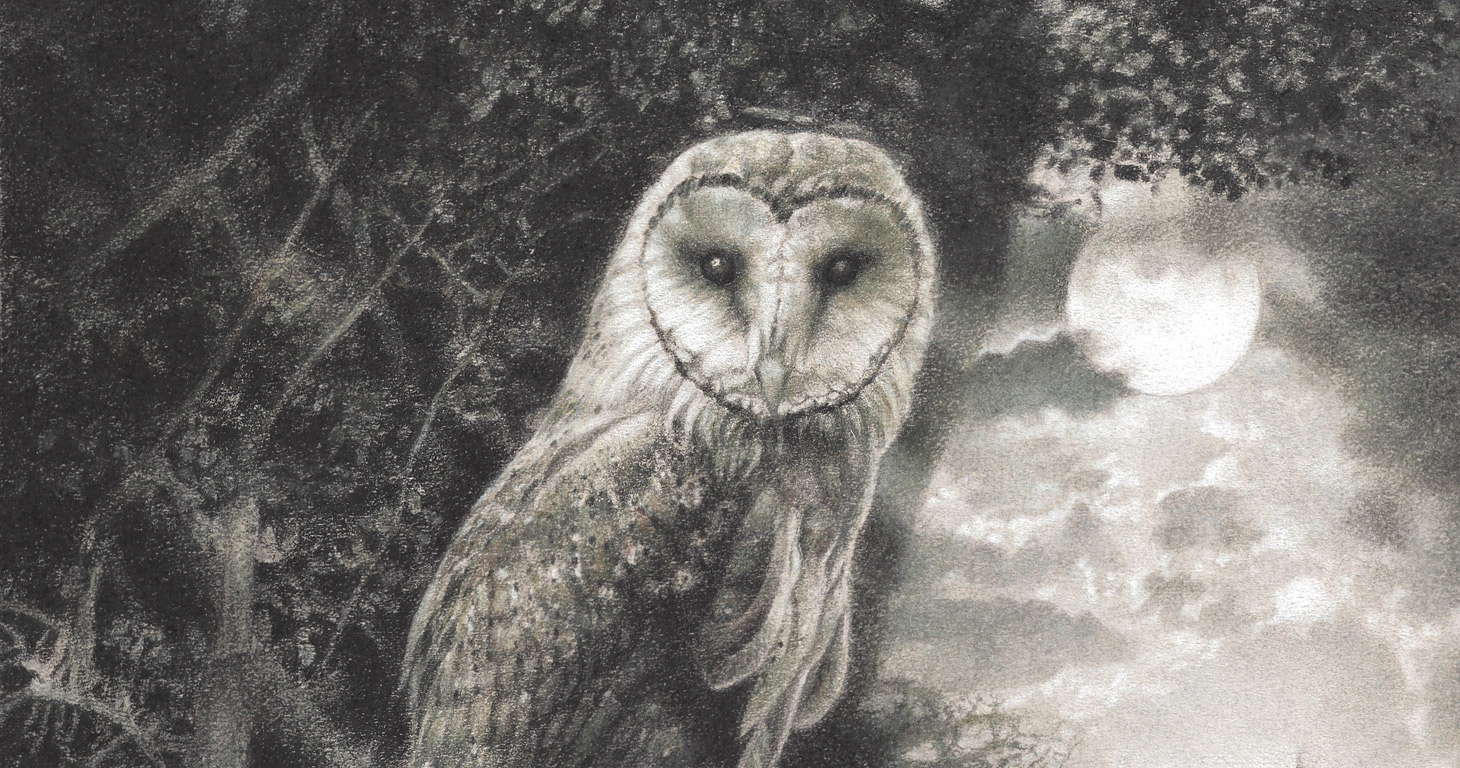 Paul Christiaan Bos: Barnowl at full moon