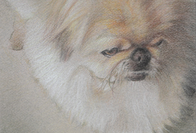 Paul Christiaan Bos: Little Dog, charcoal