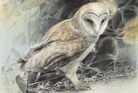 Paul Christiaan Bos: Oermoeder, zilverstift. Portret van de geheimzinnige Uilenvrouw Feline.