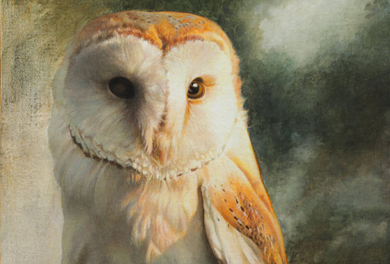 Paul Christiaan Bos: Kerkuil Sterre, acryl